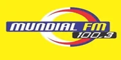 Radio Mundial 100.3 FM