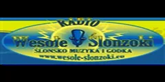 Radio Wesole Slonzoki
